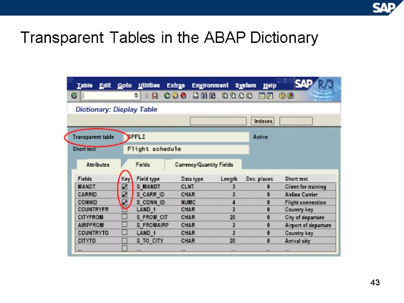 43 Transparent Tables in the ABAP Dictionary